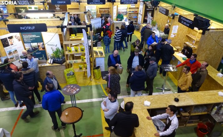 Abejar trabaja en iniciativas no presenciales ante la suspensión de la Feria de la Trufa