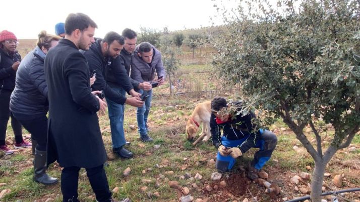 La Junta participa en el proyecto ‘Trufforum 2021’