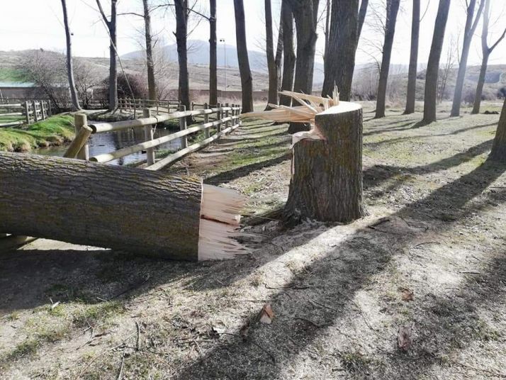 Ágreda denuncia un acto vandálico en el paraje de Los Ojillos