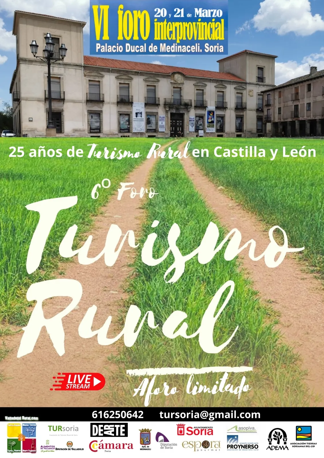 Foto 2 - Medinaceli acoge este fin de semana el foro &lsquo;25 a&ntilde;os de turismo rural en Castilla y Le&oacute;n&rsquo;