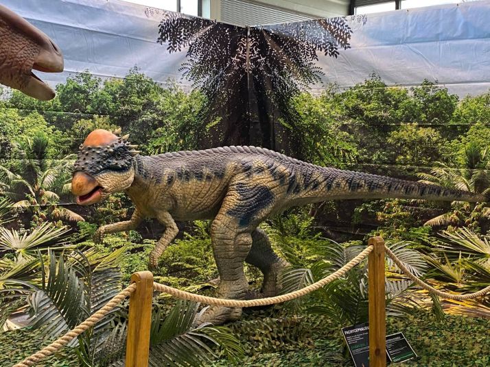 Pasear entre dinosaurios, una experiencia única y posible en Soria