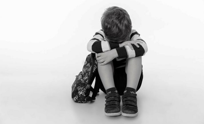 Las incidencias por acoso escolar en la provincia descendieron un 18,2% el pasado curso