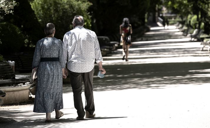 El Ayuntamiento renueva la señalítica del arboreto de La Dehesa