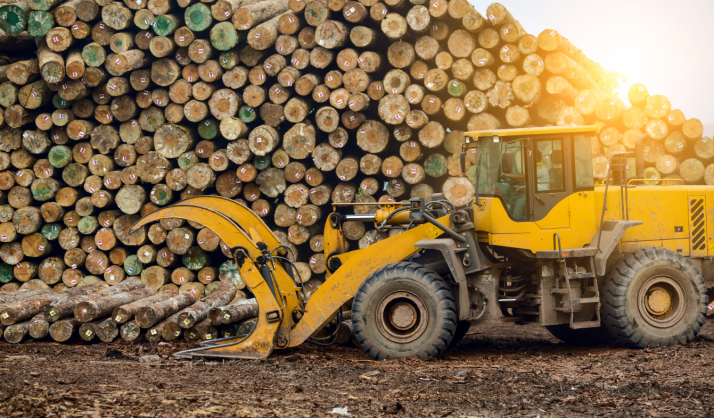 Villasayas licita aprovechamientos forestales 