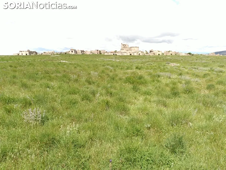 Peñalcázar.