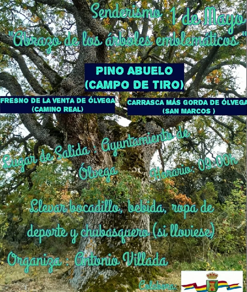 Foto 2 - Este s&aacute;bado, senderismo 'arb&oacute;reo' en &Oacute;lvega