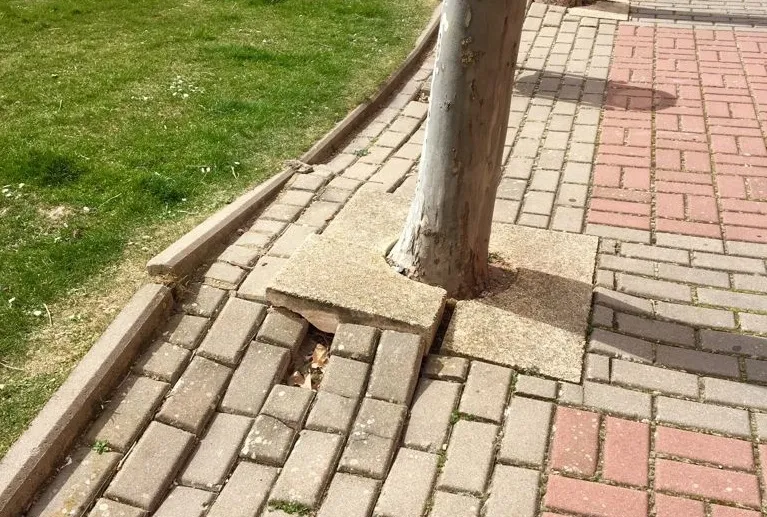 Estado del adoquinado en el Parque de Los Royales.