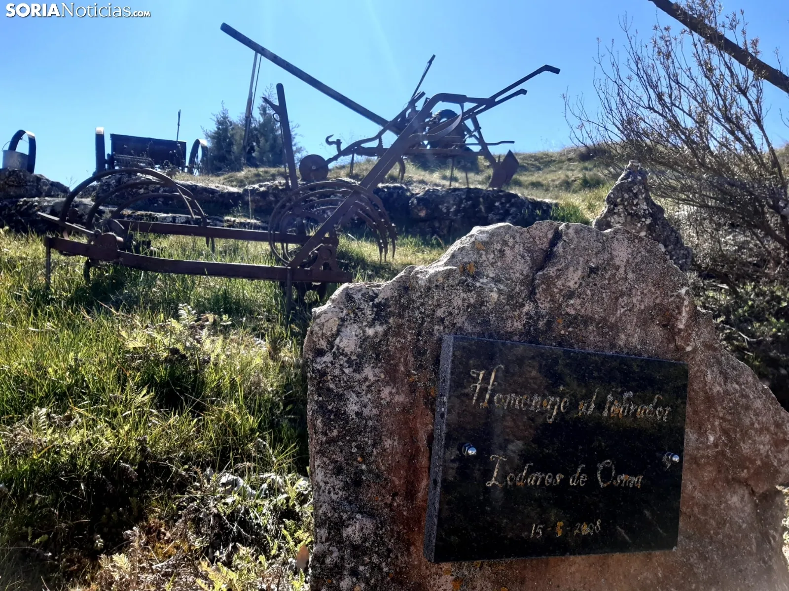 Homenaje al labrador en Lodares de Osma.