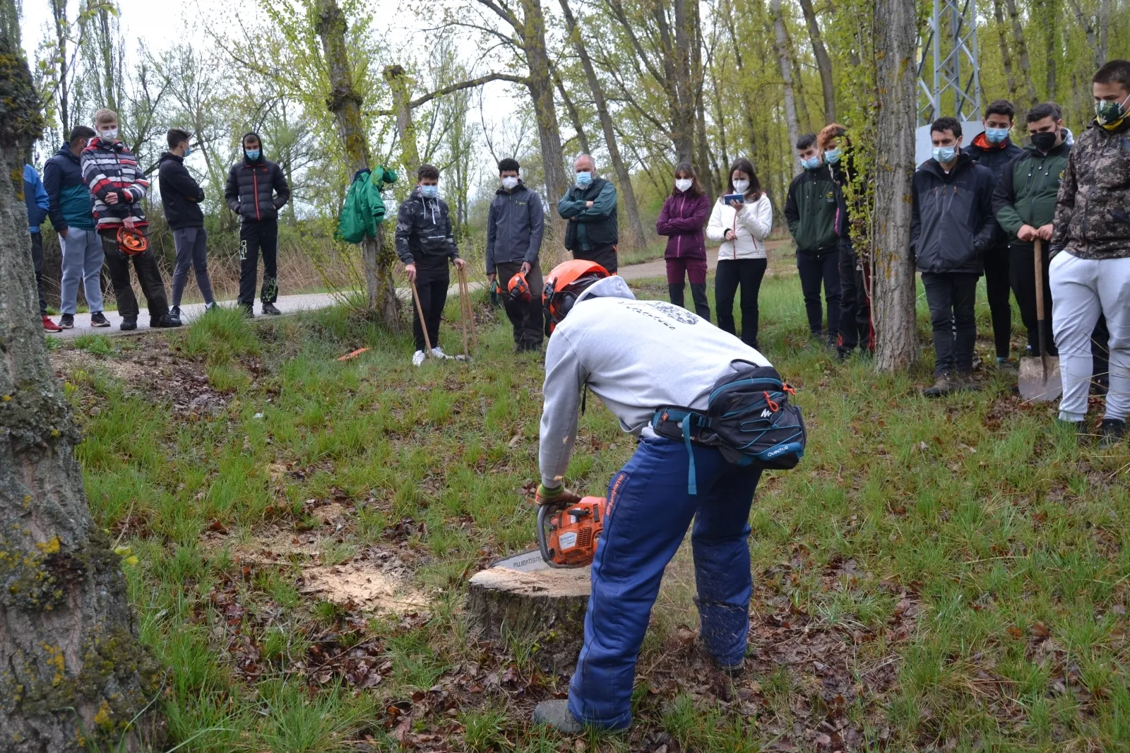 Foto 2 - T&eacute;cnicas de gesti&oacute;n selv&iacute;cola con hongos en el Parque de la Arboleda de Almaz&aacute;n