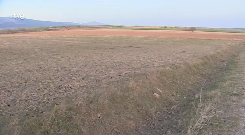 Terrenos previstos para la ubicación de la granja de vacas de leche proyectada en Noviercas. /TVE