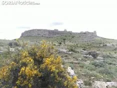 Peñalcázar. 