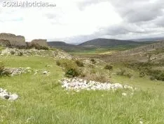 Peñalcázar. 