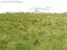 Peñalcázar.