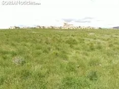 Peñalcázar.