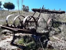 Homenaje al labrador en Lodares de Osma.
