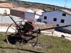 Homenaje al labrador en Lodares de Osma.