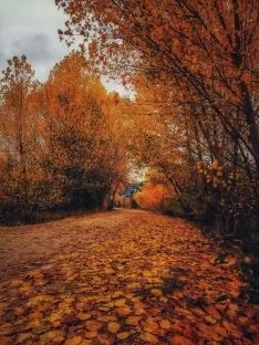 Foto 6 - Galer&iacute;a: Aroa Cobos ense&ntilde;a una Soria de puro color en una muestra de 30 fotograf&iacute;as