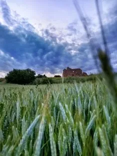 Foto 3 - Galer&iacute;a: Aroa Cobos ense&ntilde;a una Soria de puro color en una muestra de 30 fotograf&iacute;as