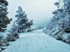 Foto 2 - Galer&iacute;a: Aroa Cobos ense&ntilde;a una Soria de puro color en una muestra de 30 fotograf&iacute;as