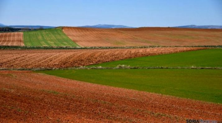 13 M&euro; para los planes de mejoras territoriales y obras de tres zonas de concentración parcelaria en las provincias de León y Zamora
