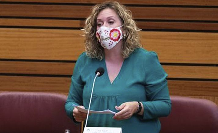  Los procuradores sorianos cuestionarán a la Delegada Territorial por las carencias sanitarias en Soria