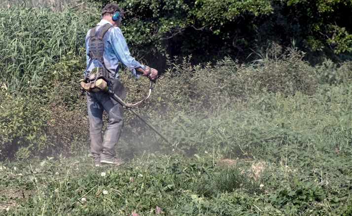 La Diputación recibirá 330.000 &euro; de la Junta para desempleados que realizarán labores forestales