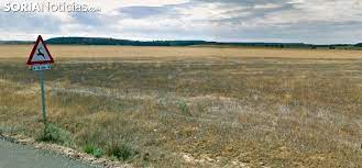 El ministro de Agricultura anuncia una nueva regulación de granjas de vacuno que podría afectar a Noviercas