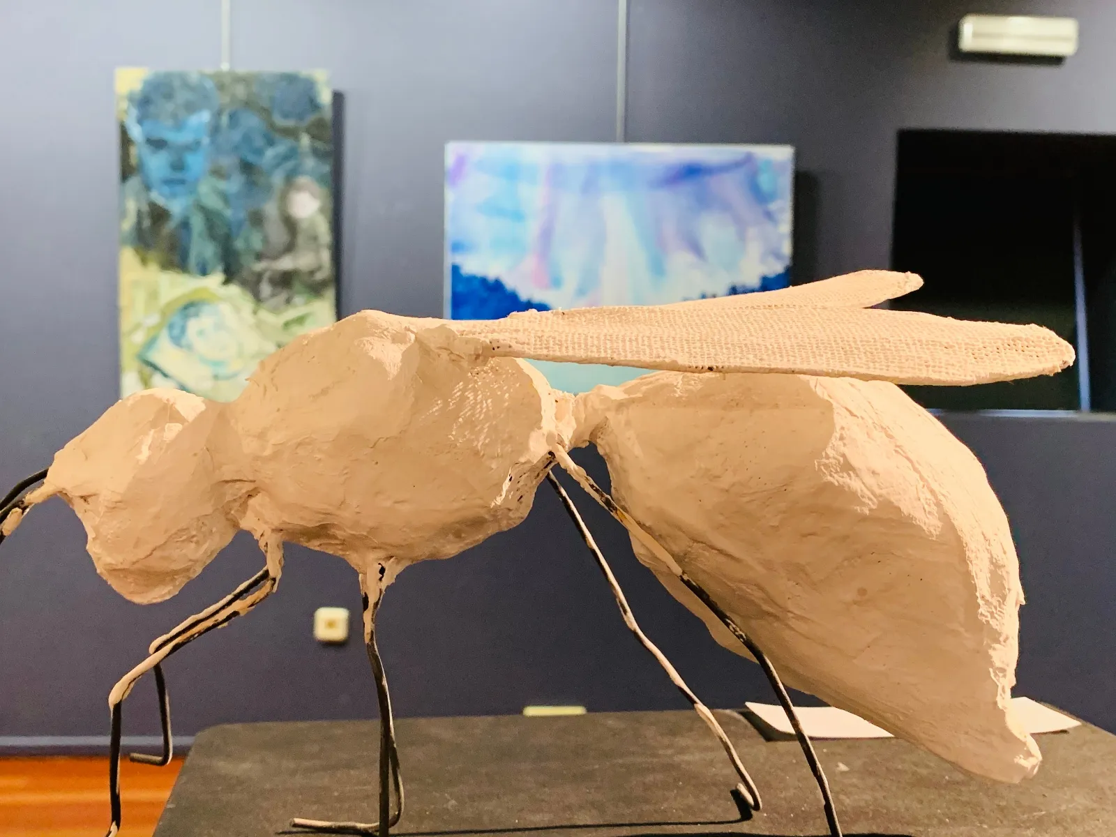 Foto 2 - El talento de los jovenes de Soria, a exposici&oacute;n