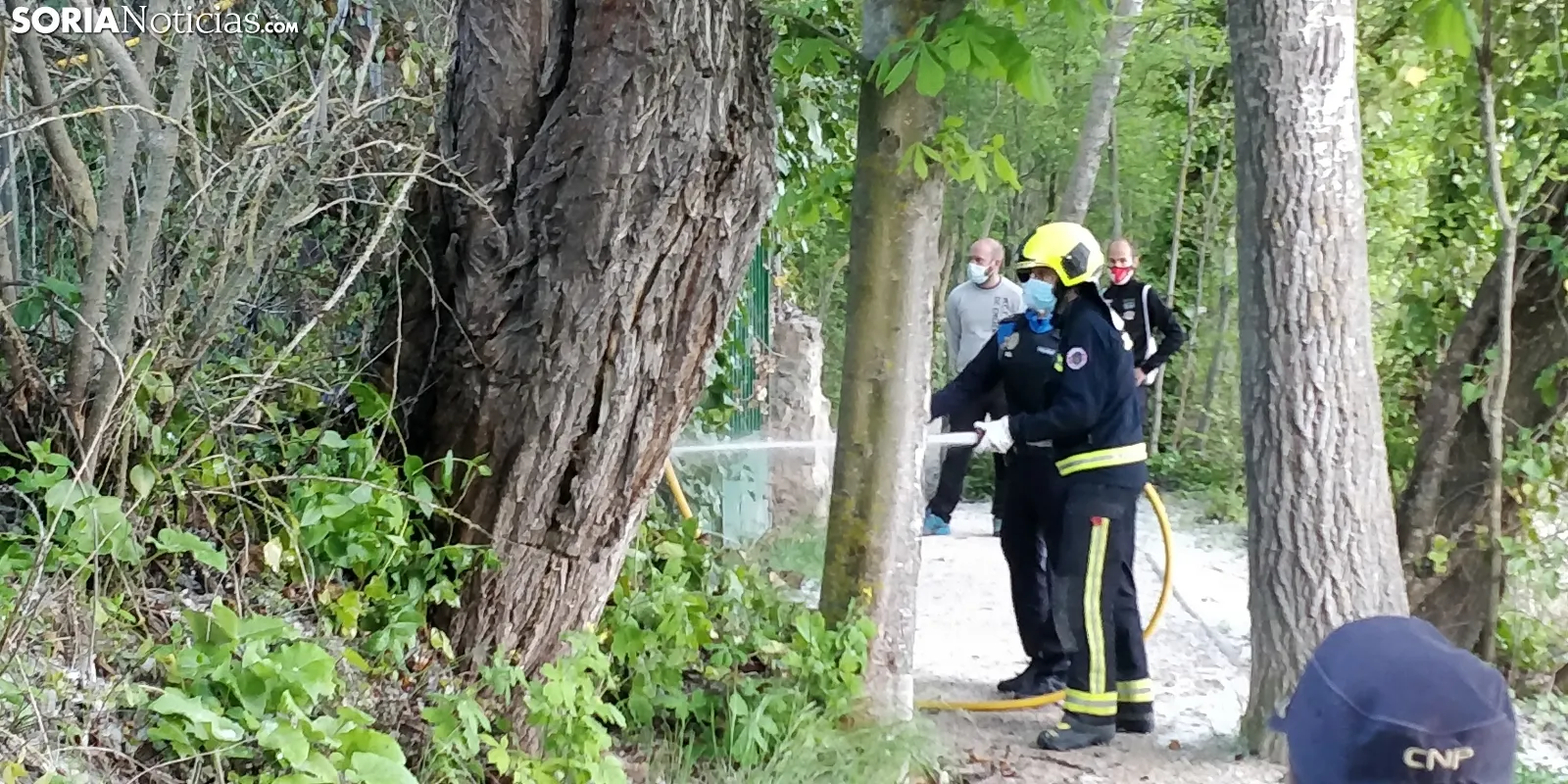 Foto 7 - Susto con las pelusas junto a los Arcos de San Juan de Duero