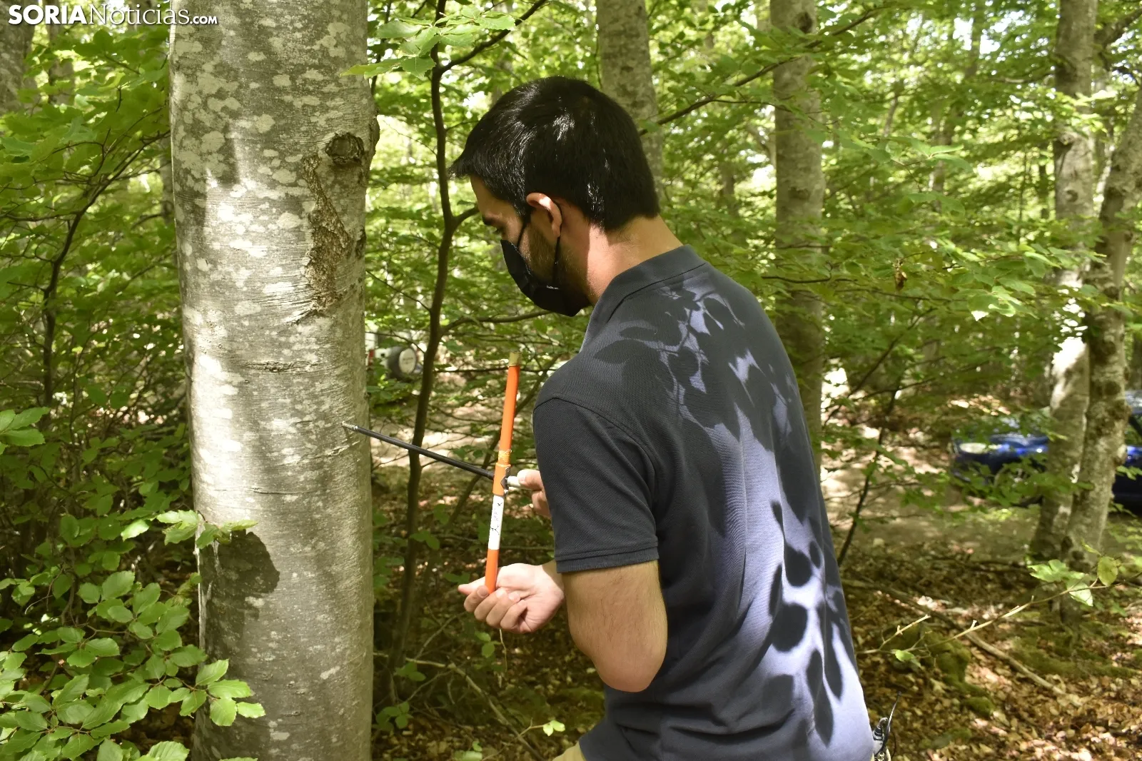 Presentación del proyecto LIFE Soria ForestAdapt. /Encarna Muñoz