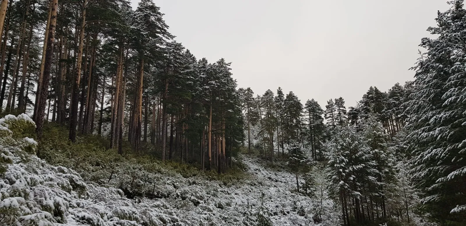 Imágenes de Urbión nevado esta mañana. Agustín Sandoval.