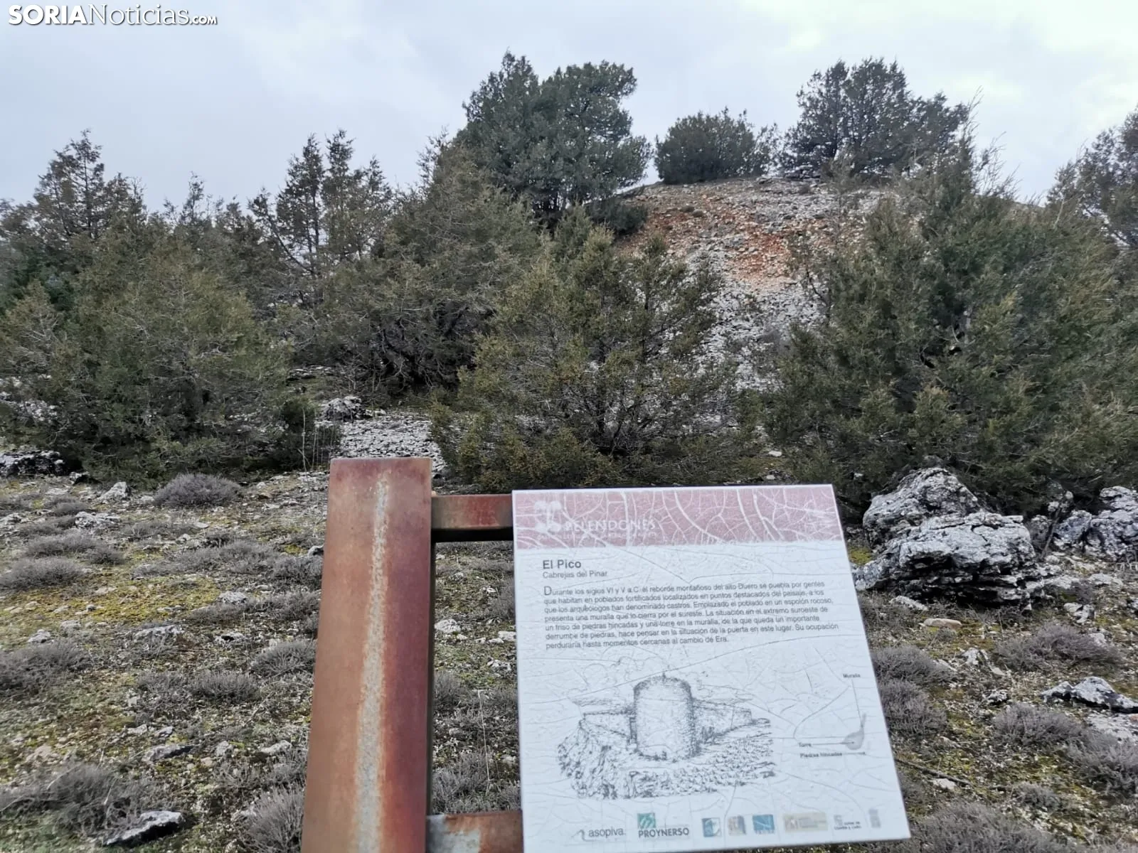 El Pico, asentamiento de un castro celtíbero en Cabrejas del Pinar.