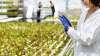 Foto 1 - 3 empresas sorianas agroalimentarias recibirán casi 600.000 euros en subvenciones