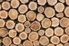 Foto 1 - Licitados los aprovechamientos maderables de Soria por más de 660.000 euros