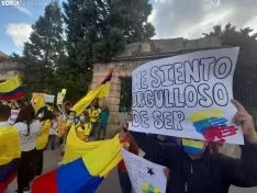 Una imagen de la concentración de este sábad en la capital. /SN