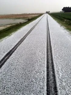 Foto 3 - Granizo tambi&eacute;n en Viana de Duero