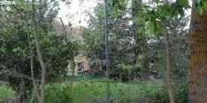 Foto 5 - Susto con las pelusas junto a los Arcos de San Juan de Duero
