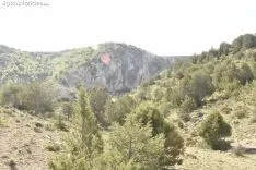 Presentación del proyecto LIFE Soria ForestAdapt. /Encarna Muñoz