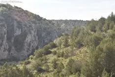 Presentación del proyecto LIFE Soria ForestAdapt. /Encarna Muñoz