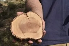 Presentación del proyecto LIFE Soria ForestAdapt. /Encarna Muñoz