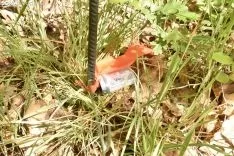 Presentación del proyecto LIFE Soria ForestAdapt. /Encarna Muñoz