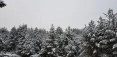Imágenes de Urbión nevado esta mañana. Agustín Sandoval.