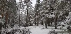 Imágenes de Urbión nevado esta mañana. Agustín Sandoval.