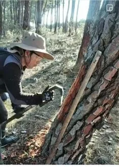 Foto 3 - Quintanas y Gormaz apuestan por la resina para fijar poblaci&oacute;n