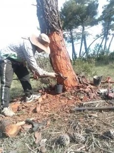 Foto 4 - Quintanas y Gormaz apuestan por la resina para fijar poblaci&oacute;n