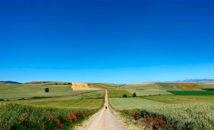 El Programa de Desarrollo Rural de Castilla y León seguirá en vigor hasta finalizar 2025 y contará con 364M&euro; más de financiación europea