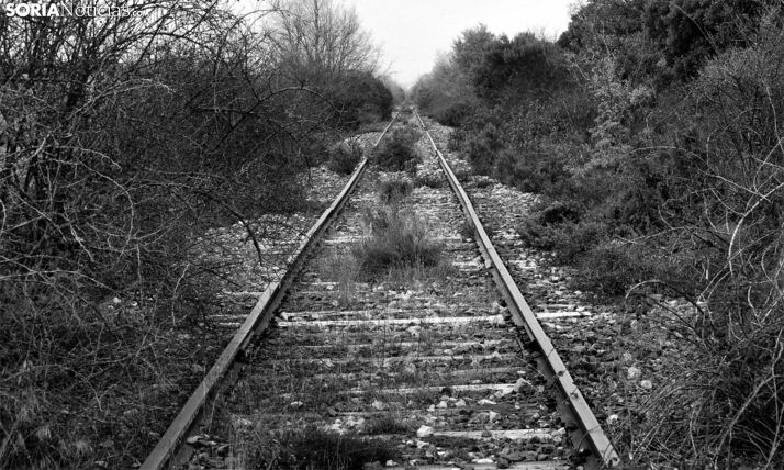 Castilla y León reivindica participar en la definición de las inversiones ferroviarias previstas en la Comunidad