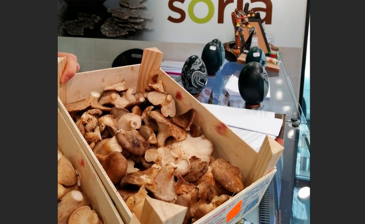 La lonja micológica llena sus expositores con especies de primavera e incluye nuevos tallares