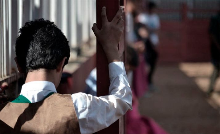 La Fundación Toro de Lidia recibirá 326.000 &euro; para la organización del circuito de novilladas en la Comunidad