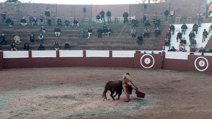 La provincia de Soria queda excluida del Ciclo de Novilladas